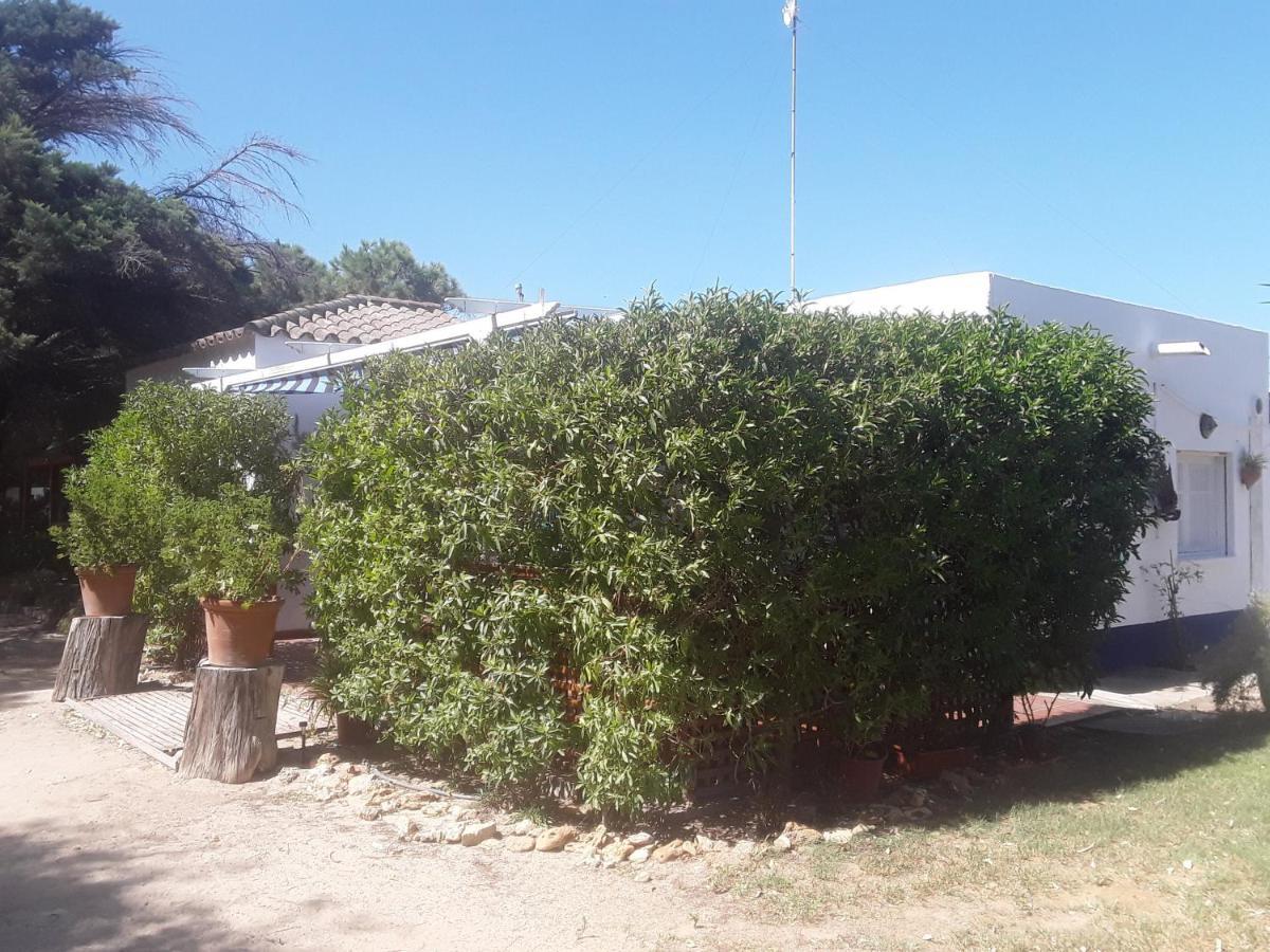 En Finca Las Dunas Dos Chalets Con Jacuzzis En Primera Linea De Playa , Uno De 4 Dormitorios Y Otro De 2 Dormitorios, Llama Al Seiscientos Veintisiete Cuatrocientos Diecisiete Trescientos Noventa Y Ocho Rota Ngoại thất bức ảnh