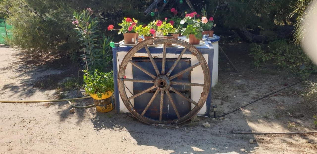 En Finca Las Dunas Dos Chalets Con Jacuzzis En Primera Linea De Playa , Uno De 4 Dormitorios Y Otro De 2 Dormitorios, Llama Al Seiscientos Veintisiete Cuatrocientos Diecisiete Trescientos Noventa Y Ocho Rota Ngoại thất bức ảnh