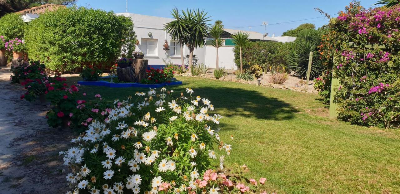 En Finca Las Dunas Dos Chalets Con Jacuzzis En Primera Linea De Playa , Uno De 4 Dormitorios Y Otro De 2 Dormitorios, Llama Al Seiscientos Veintisiete Cuatrocientos Diecisiete Trescientos Noventa Y Ocho Rota Ngoại thất bức ảnh