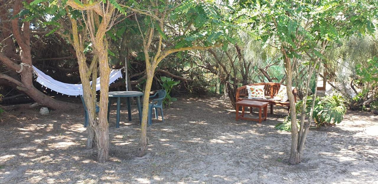 En Finca Las Dunas Dos Chalets Con Jacuzzis En Primera Linea De Playa , Uno De 4 Dormitorios Y Otro De 2 Dormitorios, Llama Al Seiscientos Veintisiete Cuatrocientos Diecisiete Trescientos Noventa Y Ocho Rota Ngoại thất bức ảnh