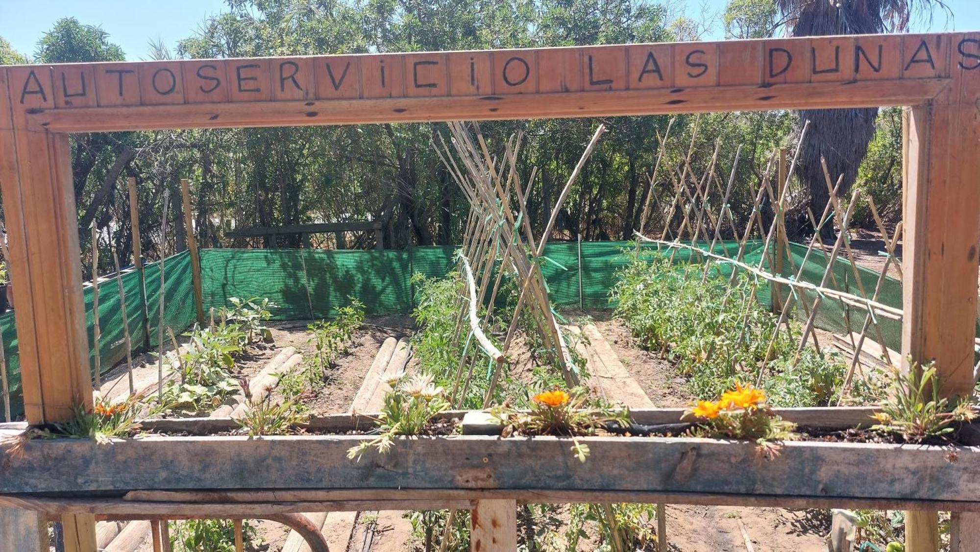 En Finca Las Dunas Dos Chalets Con Jacuzzis En Primera Linea De Playa , Uno De 4 Dormitorios Y Otro De 2 Dormitorios, Llama Al Seiscientos Veintisiete Cuatrocientos Diecisiete Trescientos Noventa Y Ocho Rota Phòng bức ảnh