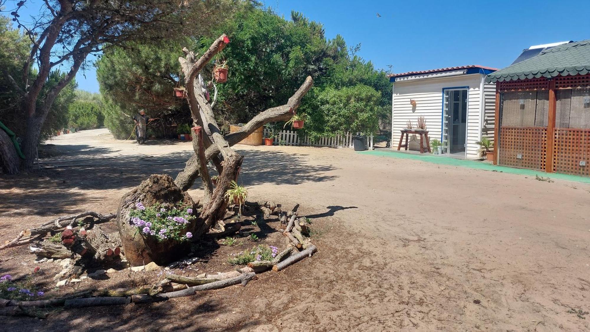 En Finca Las Dunas Dos Chalets Con Jacuzzis En Primera Linea De Playa , Uno De 4 Dormitorios Y Otro De 2 Dormitorios, Llama Al Seiscientos Veintisiete Cuatrocientos Diecisiete Trescientos Noventa Y Ocho Rota Ngoại thất bức ảnh