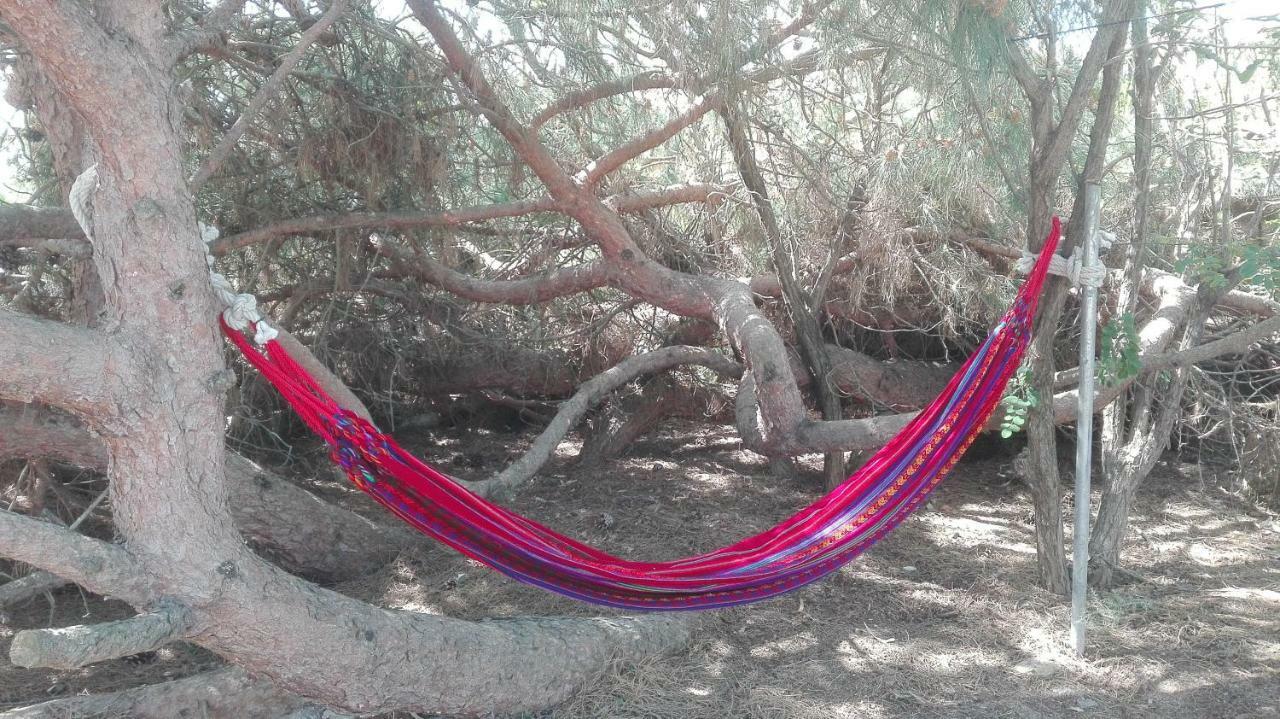 En Finca Las Dunas Dos Chalets Con Jacuzzis En Primera Linea De Playa , Uno De 4 Dormitorios Y Otro De 2 Dormitorios, Llama Al Seiscientos Veintisiete Cuatrocientos Diecisiete Trescientos Noventa Y Ocho Rota Ngoại thất bức ảnh