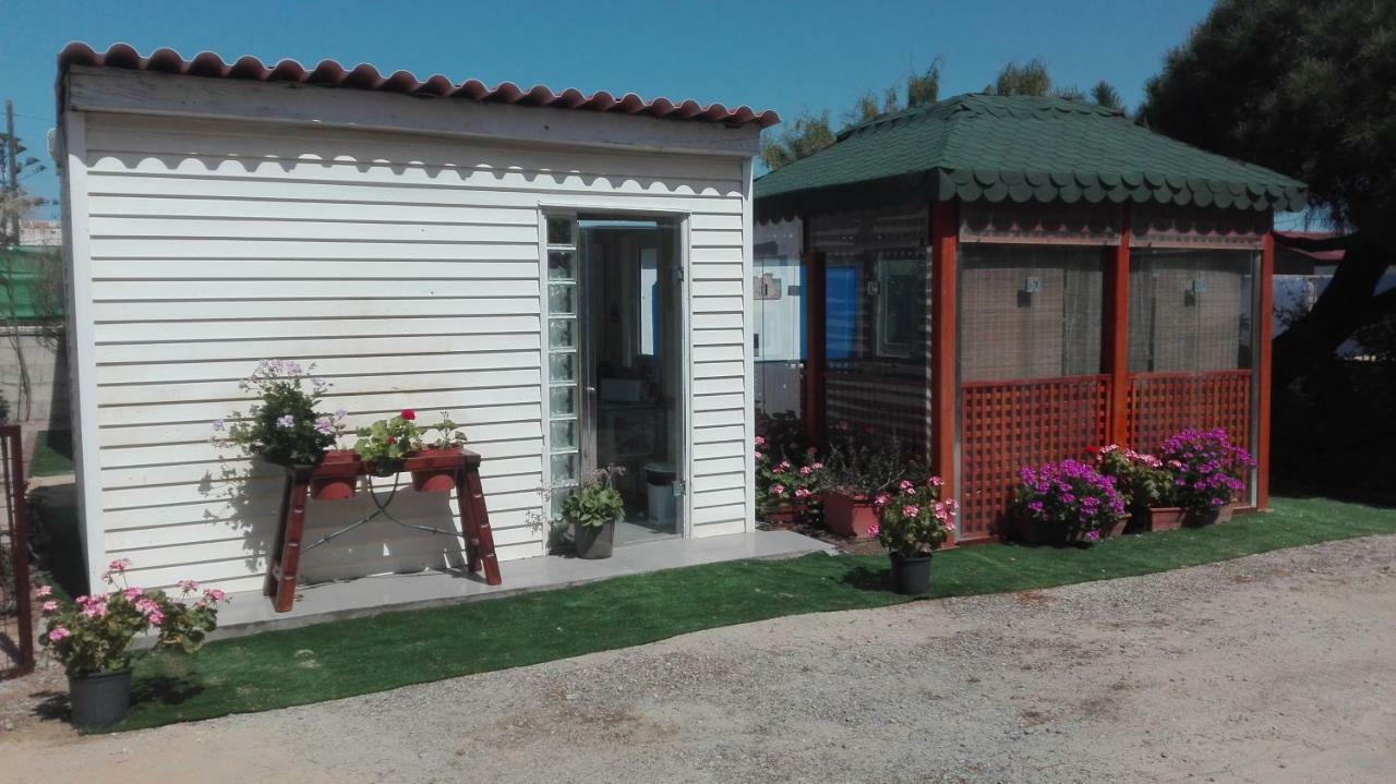 En Finca Las Dunas Dos Chalets Con Jacuzzis En Primera Linea De Playa , Uno De 4 Dormitorios Y Otro De 2 Dormitorios, Llama Al Seiscientos Veintisiete Cuatrocientos Diecisiete Trescientos Noventa Y Ocho Rota Ngoại thất bức ảnh